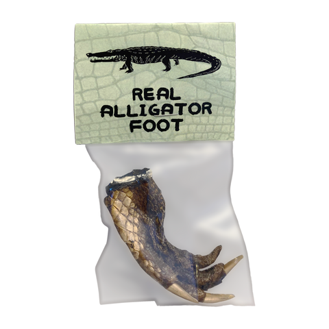 Alligator Foot in a Bag