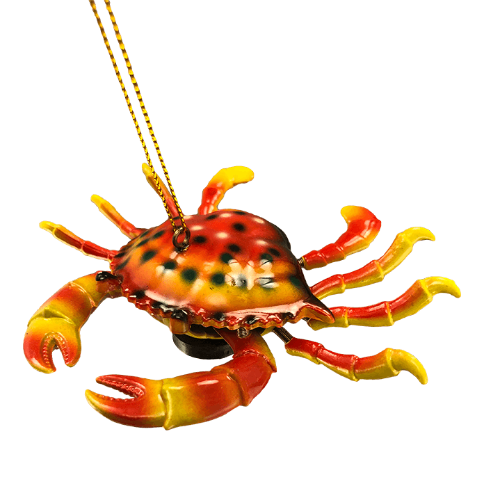 Fun Magnetic Crab Scissors - ApolloBox