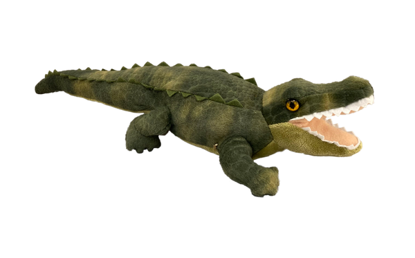 Realistic Plush Green Gator in 2 sizes 15" and 22"